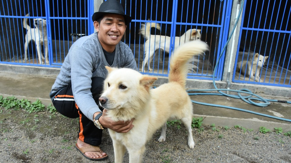 man with kintamani