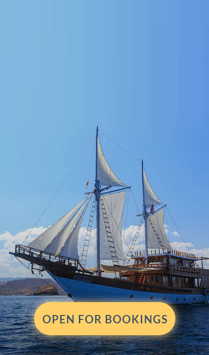 The Spectacular Naked Sail
